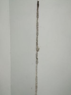 破壞墻壁 